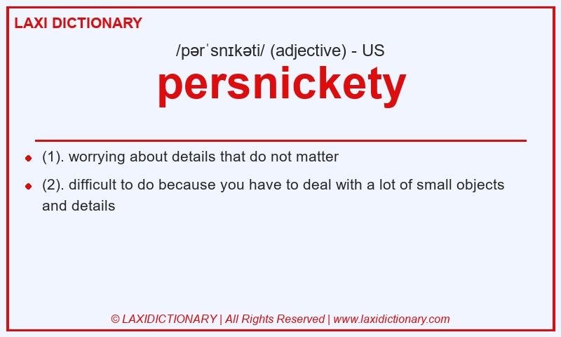 Definition persnickety in American English
