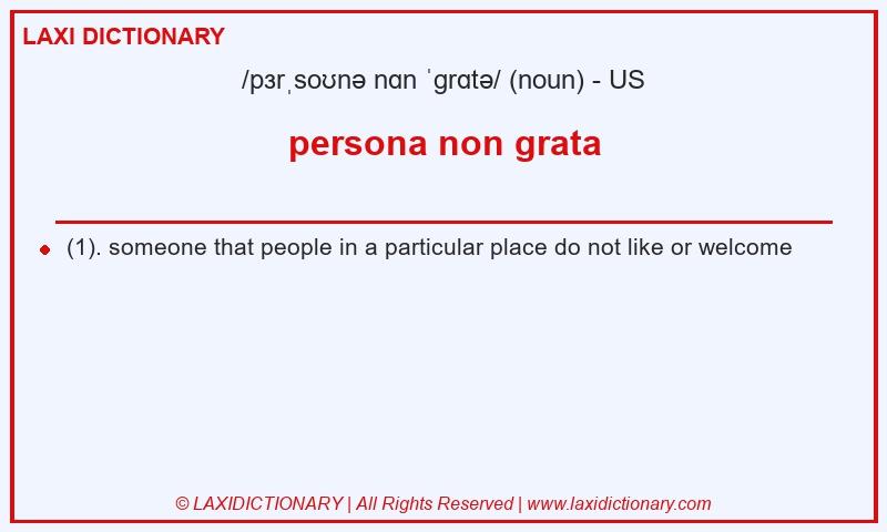 Definition persona non grata in American English