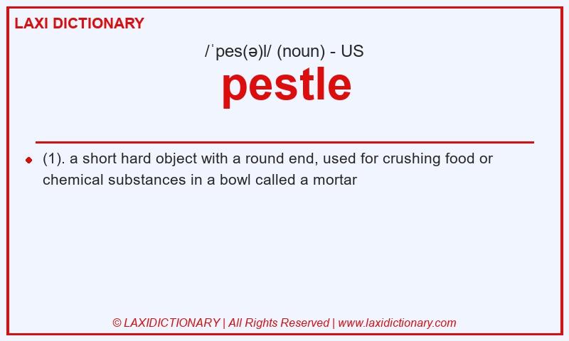 Definition pestle in American English