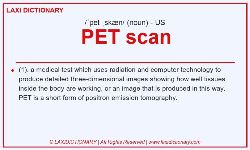 Definition PET scan in American English