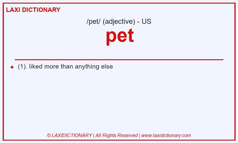 Definition pet in American English