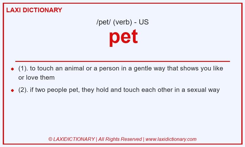 Definition pet in American English