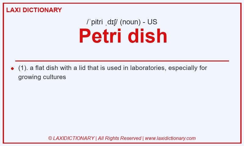 Definition Petri dish in American English