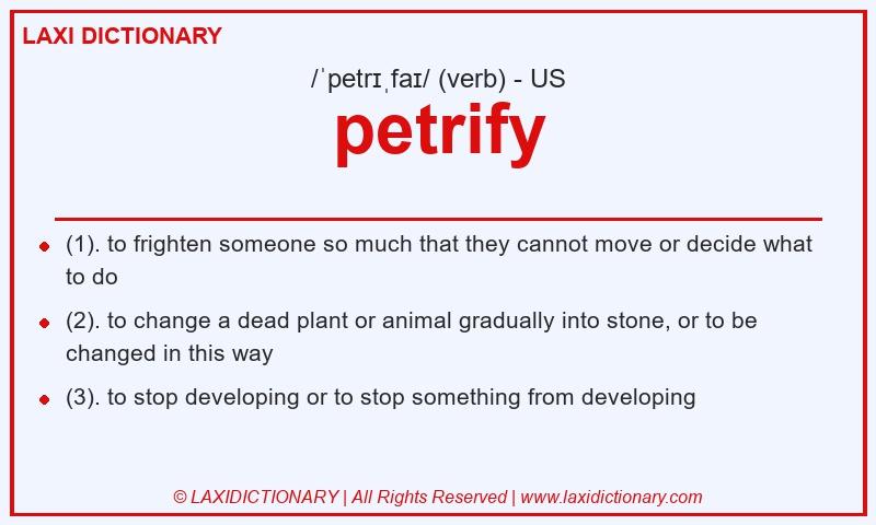 Definition petrify in American English