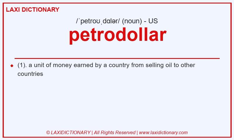 Definition petrodollar in American English