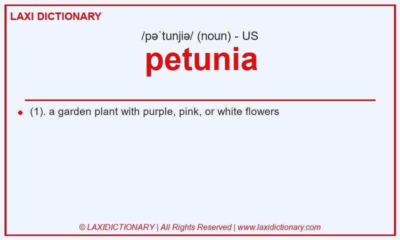 Definition petunia in American English