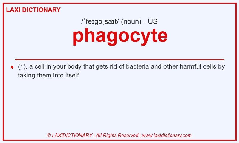 Definition phagocyte in American English