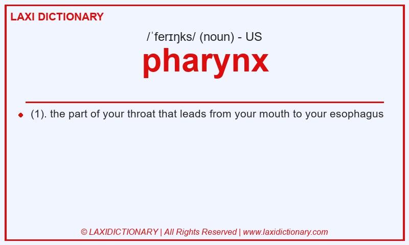 Definition pharynx in American English