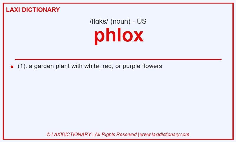 Definition phlox in American English