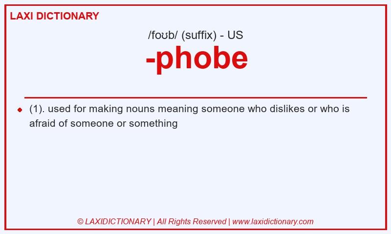Definition -phobe in American English
