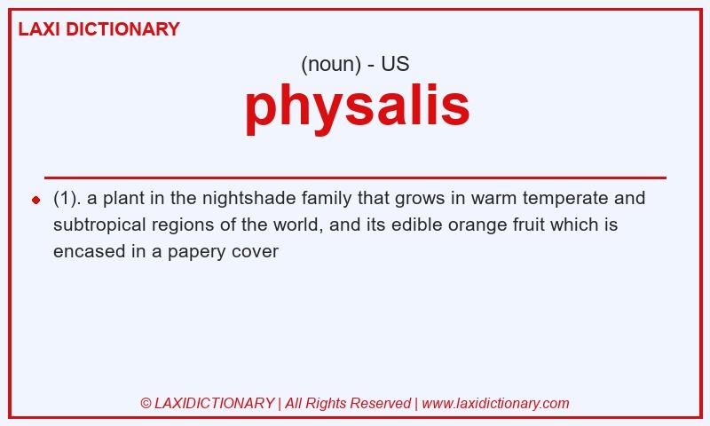 Definition physalis in American English