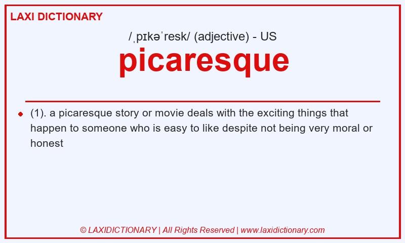 Definition picaresque in American English