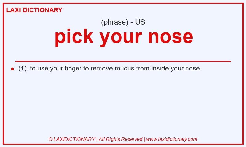 Definition pick your nose in American English