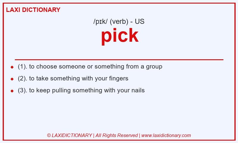 Definition pick in American English