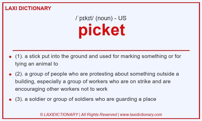 Definition picket in American English