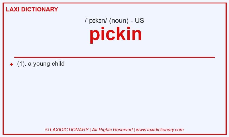 Definition pickin in American English