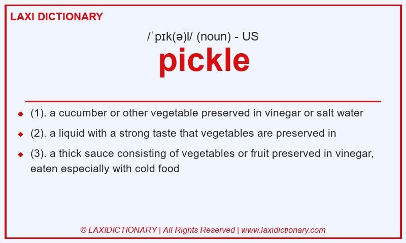 Definition pickle in American English