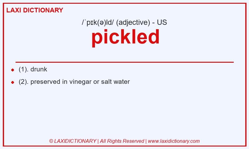 Definition pickled in American English