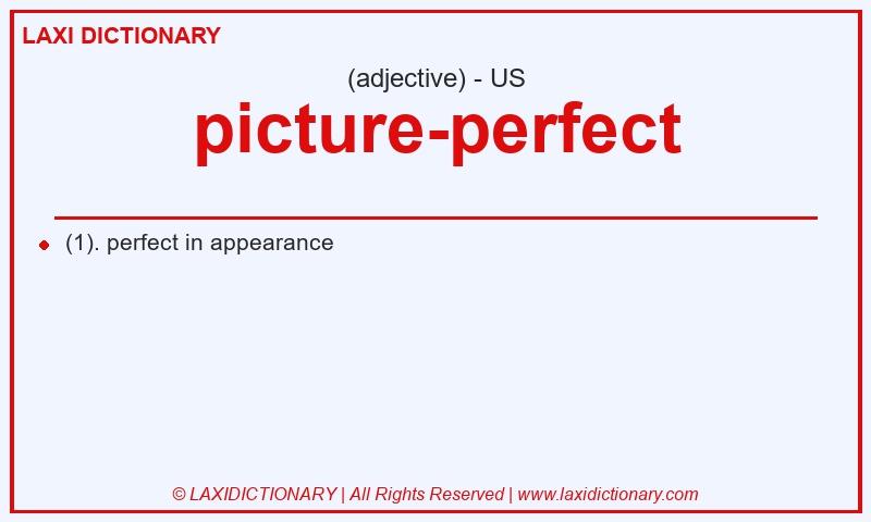 Definition picture-perfect in American English