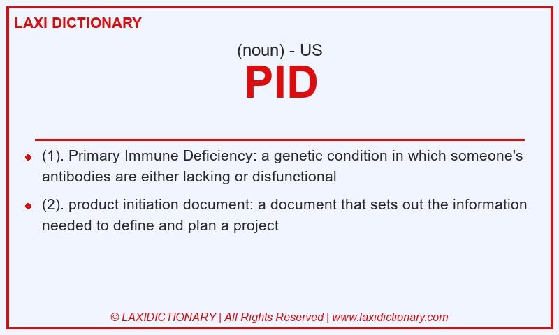 Definition PID in American English