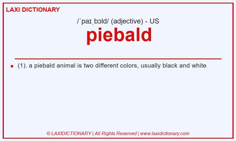 Definition piebald in American English