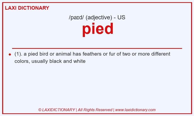 Definition pied in American English