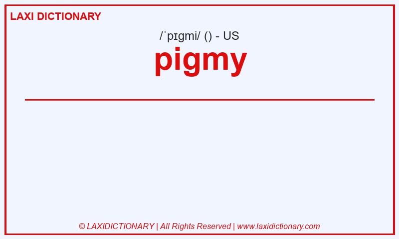Definition pigmy in American English