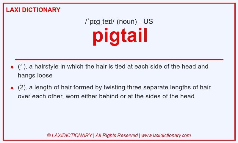 Definition pigtail in American English