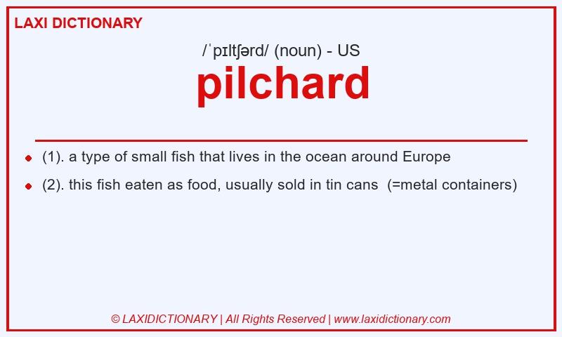 Definition pilchard in American English
