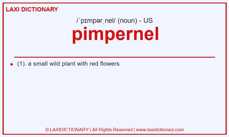 Definition pimpernel in American English