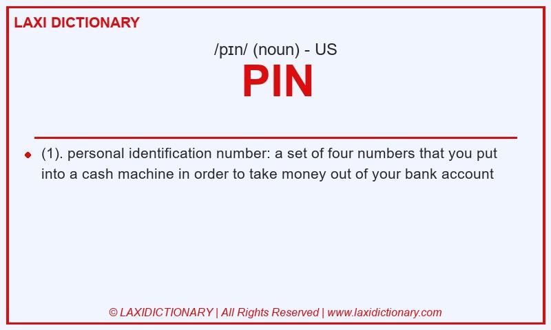 Definition PIN in American English