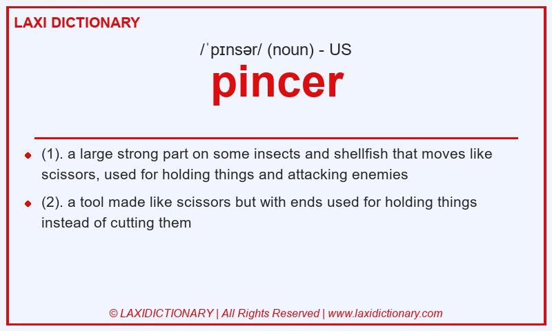 Definition pincer in American English