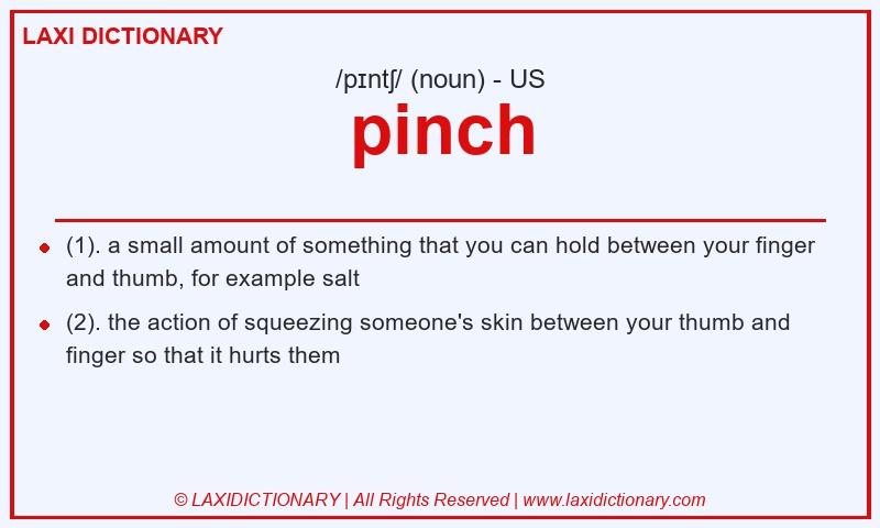 Definition pinch in American English