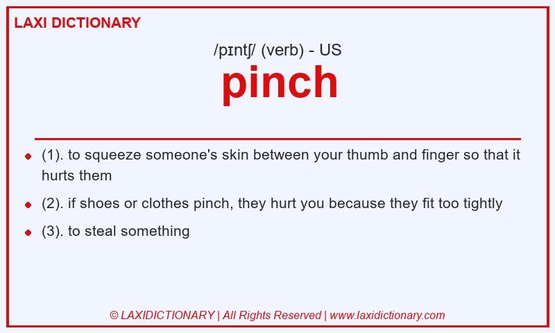 Definition pinch in American English