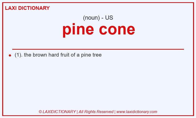 Definition pine cone in American English