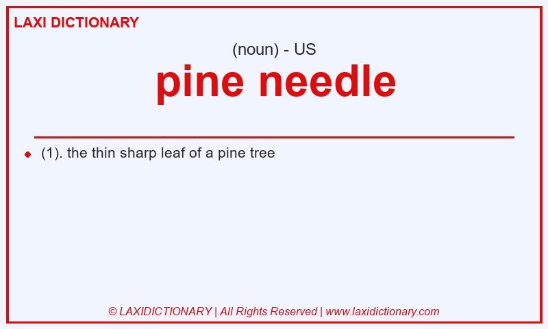 Definition pine needle in American English
