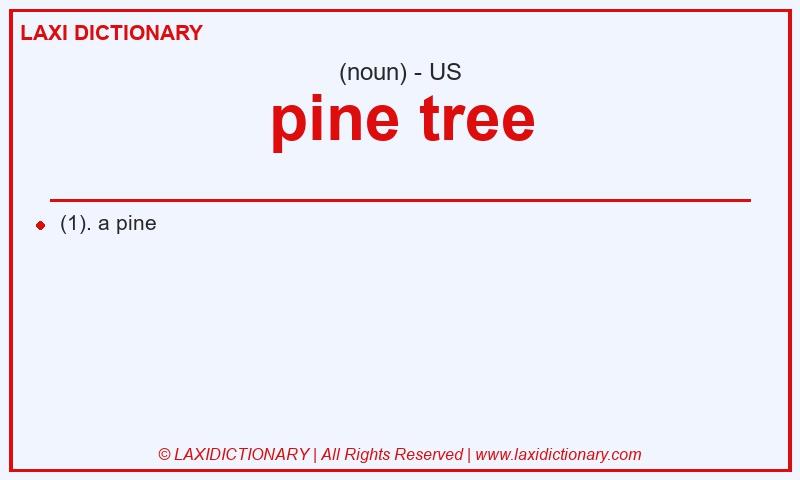 Definition pine tree in American English