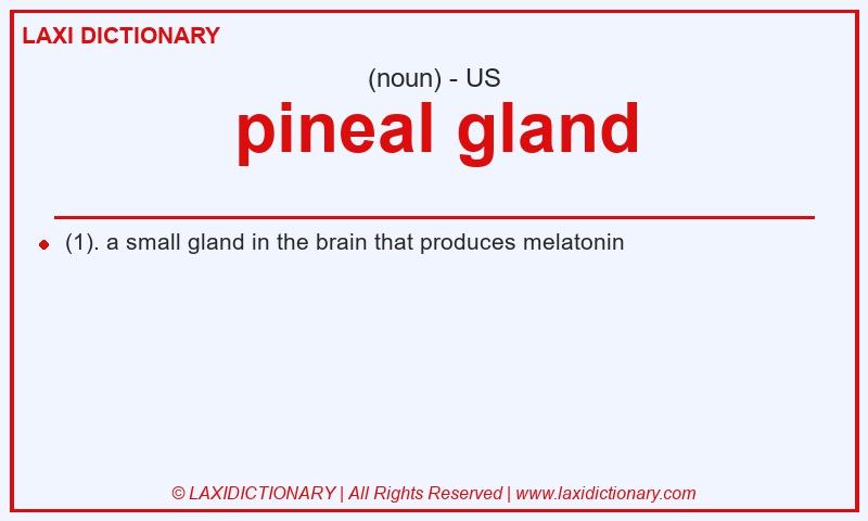 Definition pineal gland in American English