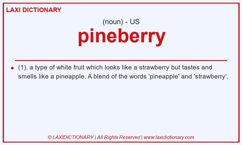 Definition pineberry in American English