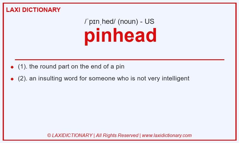 Definition pinhead in American English