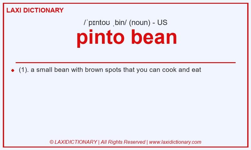 Definition pinto bean in American English