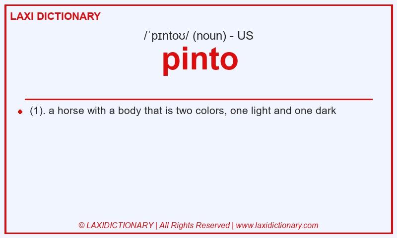 Definition pinto in American English