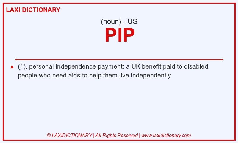 Definition PIP in American English