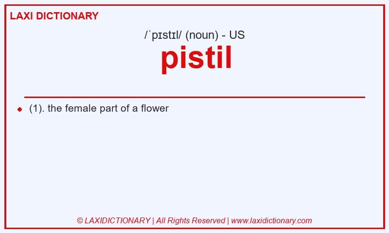Definition pistil in American English