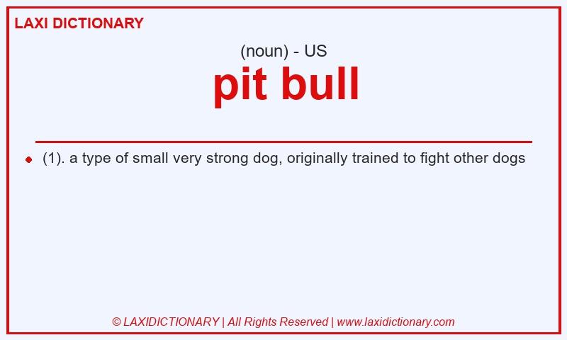 Definition pit bull in American English