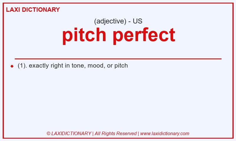 Definition pitch perfect in American English