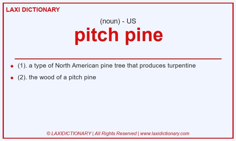 Definition pitch pine in American English