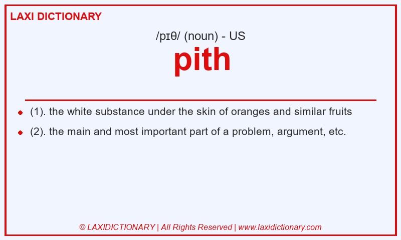 Definition pith in American English