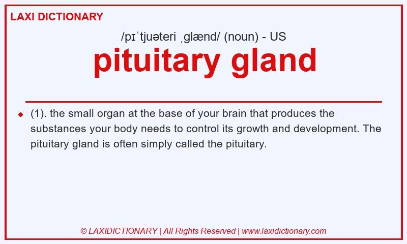 Definition pituitary gland in American English