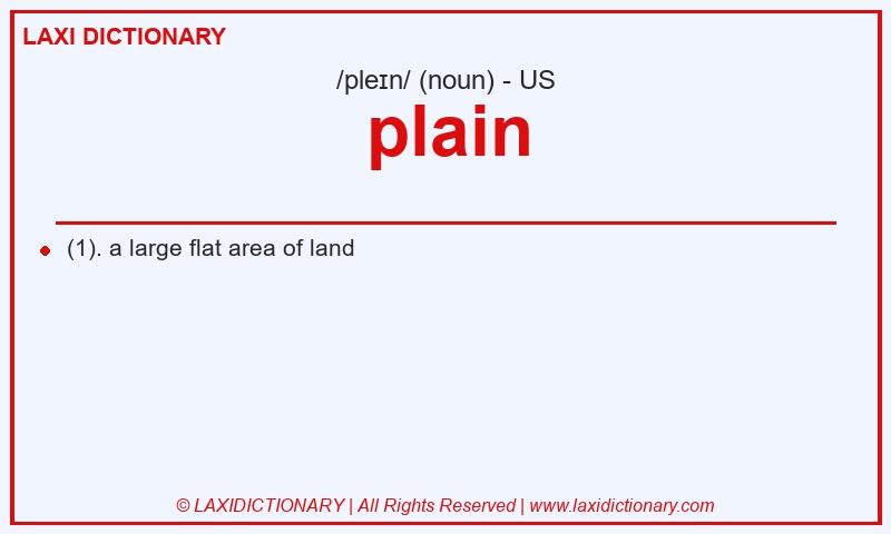 Definition plain in American English